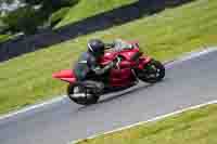 Low_Mid Group Red Bikes